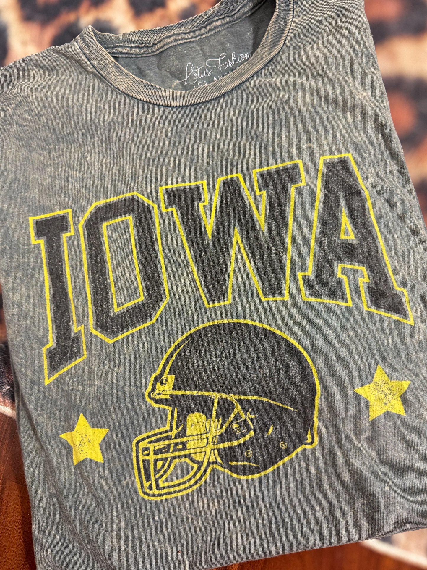 Iowa Mineral Wash Tee : L